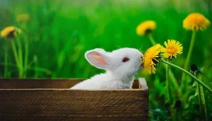 女友大方回应恋情:我很开心,我很爱亚马尔